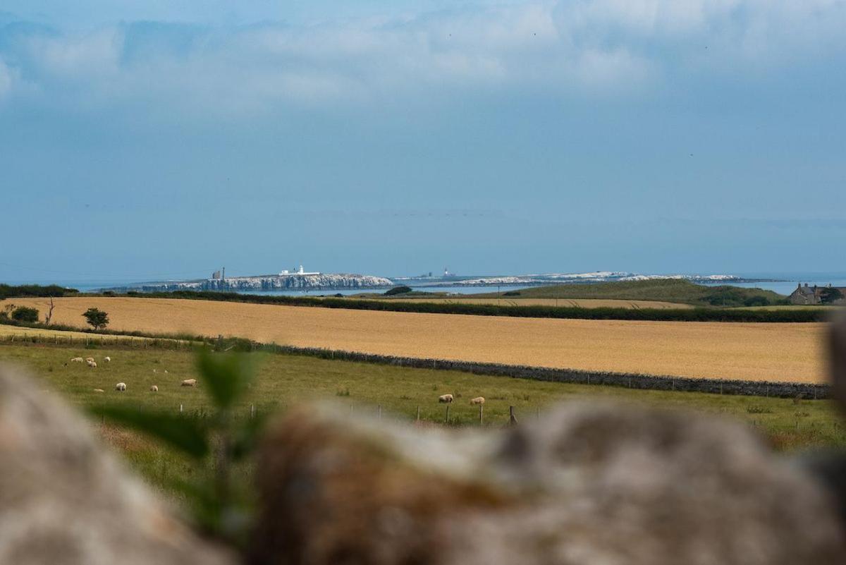 Vila The Rushes Bamburgh Exteriér fotografie